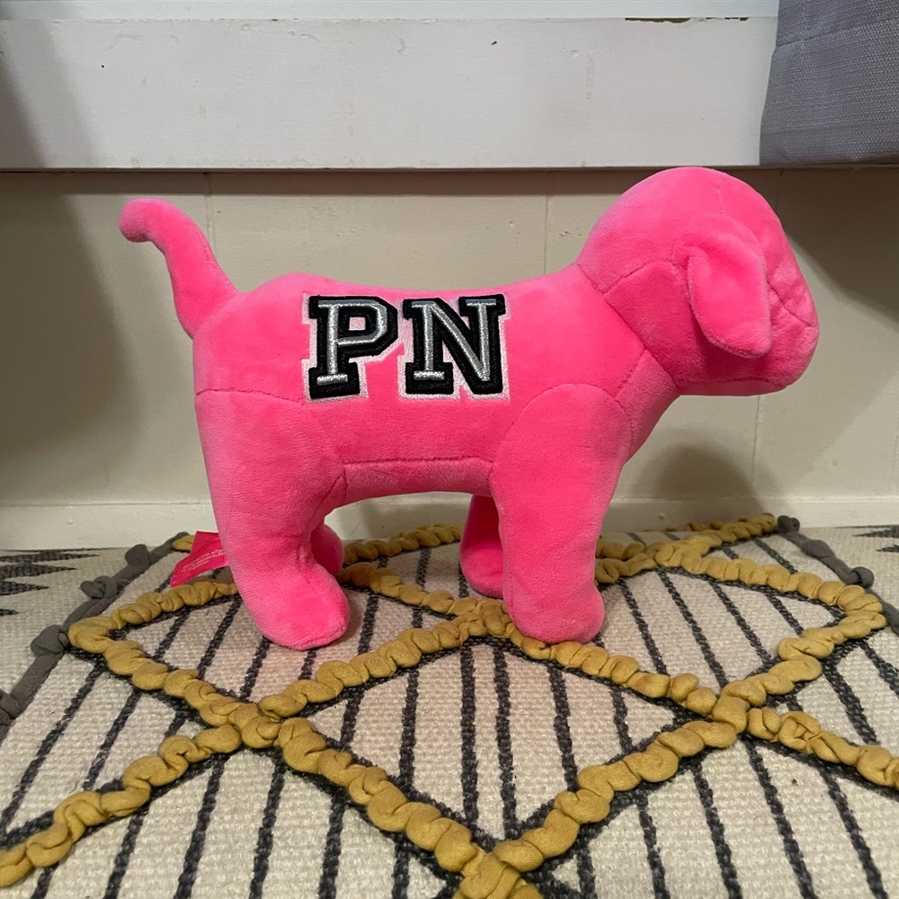 VS PINK dog